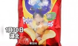 爆料薯片作假视频大全集,薯片作假视频大全集深度解析